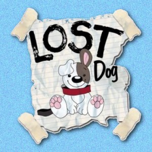 lostdogs